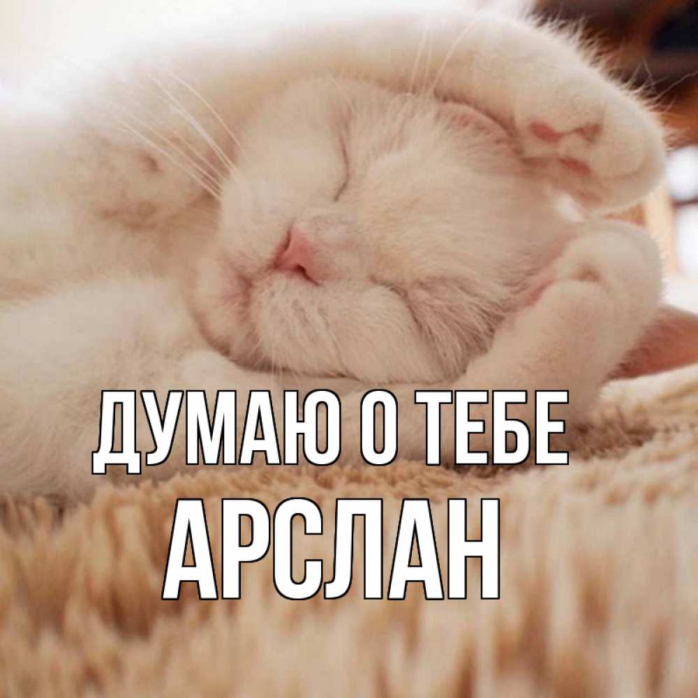 Открытка на каждый день с именем, Арслан Думаю о тебе для любимой девушки милота Прикольная открытка с пожеланием онлайн скачать бесплатно 