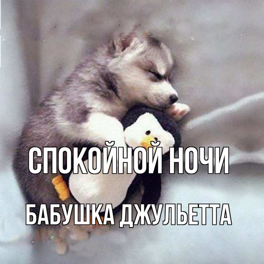 Открытка на каждый день с именем, Бабушка-Джульетта Спокойной ночи обнимашки щенка и пингвина Прикольная открытка с пожеланием онлайн скачать бесплатно 