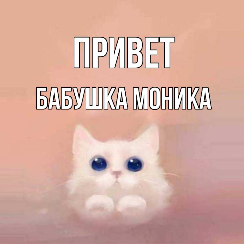 Открытка на каждый день с именем, Бабушка-Моника Привет котик белый в полете Прикольная открытка с пожеланием онлайн скачать бесплатно 