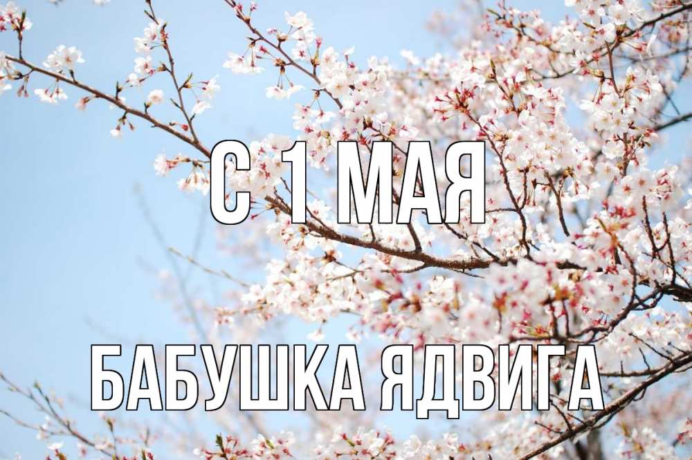 Открытка на каждый день с именем, Бабушка-Ядвига С 1 мая С 1 мая Прикольная открытка с пожеланием онлайн скачать бесплатно 