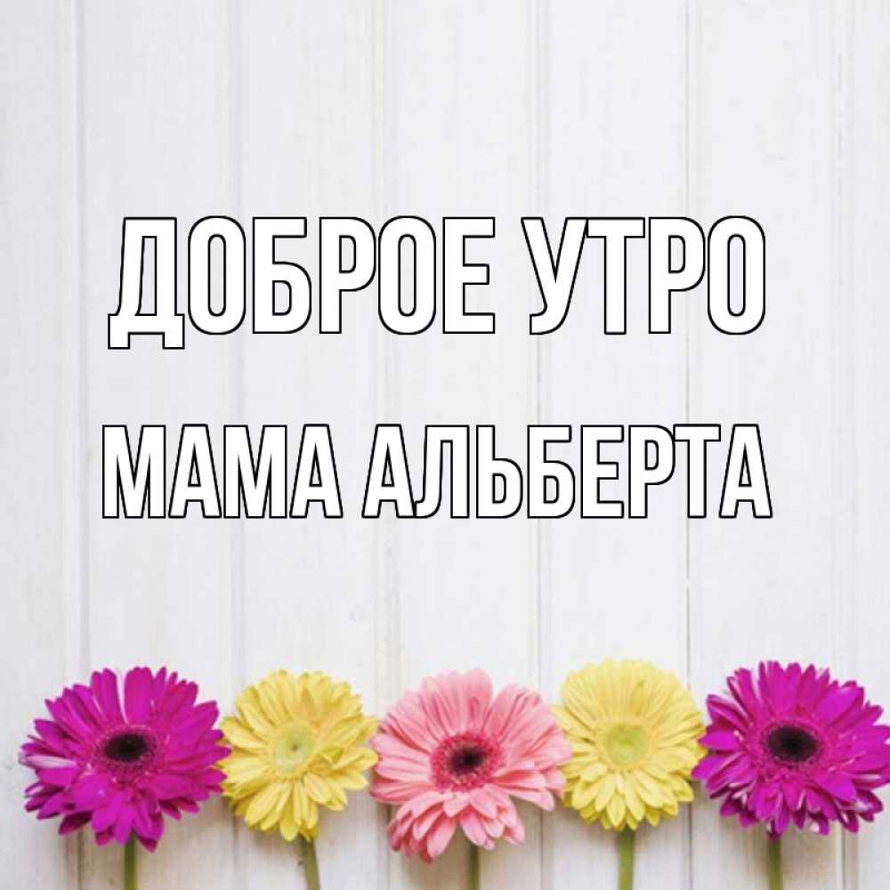 Открытка на каждый день с именем, Мама-Альберта Доброе утро красный желтый и розовый цветок Прикольная открытка с пожеланием онлайн скачать бесплатно 