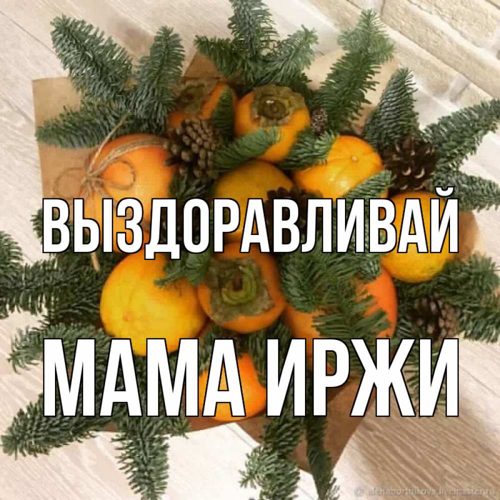 Открытка на каждый день с именем, Мама-Иржи Выздоравливай апельсины и хурьма Прикольная открытка с пожеланием онлайн скачать бесплатно 