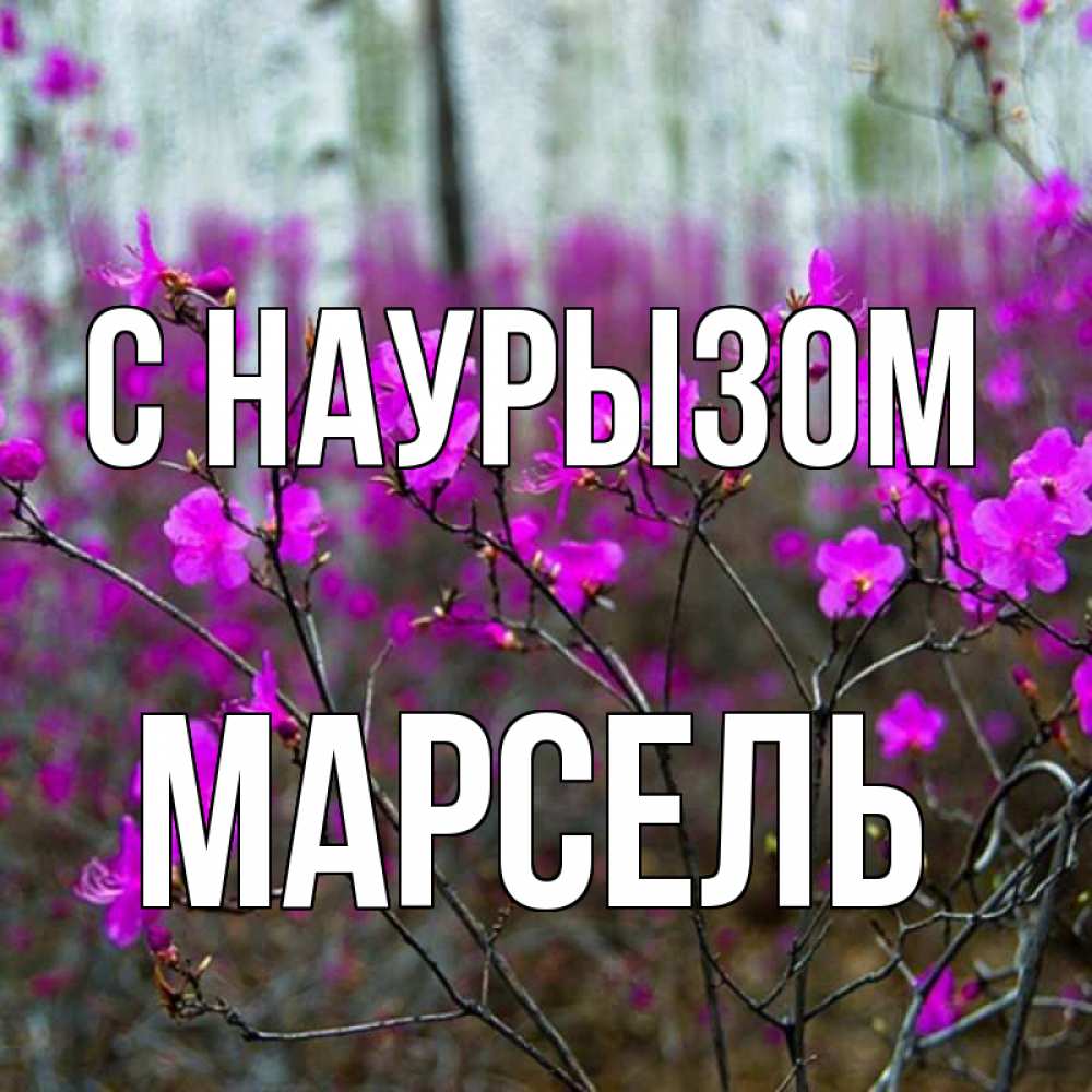 Открытка на каждый день с именем, Марсель С наурызом дикие цветы Прикольная открытка с пожеланием онлайн скачать бесплатно 