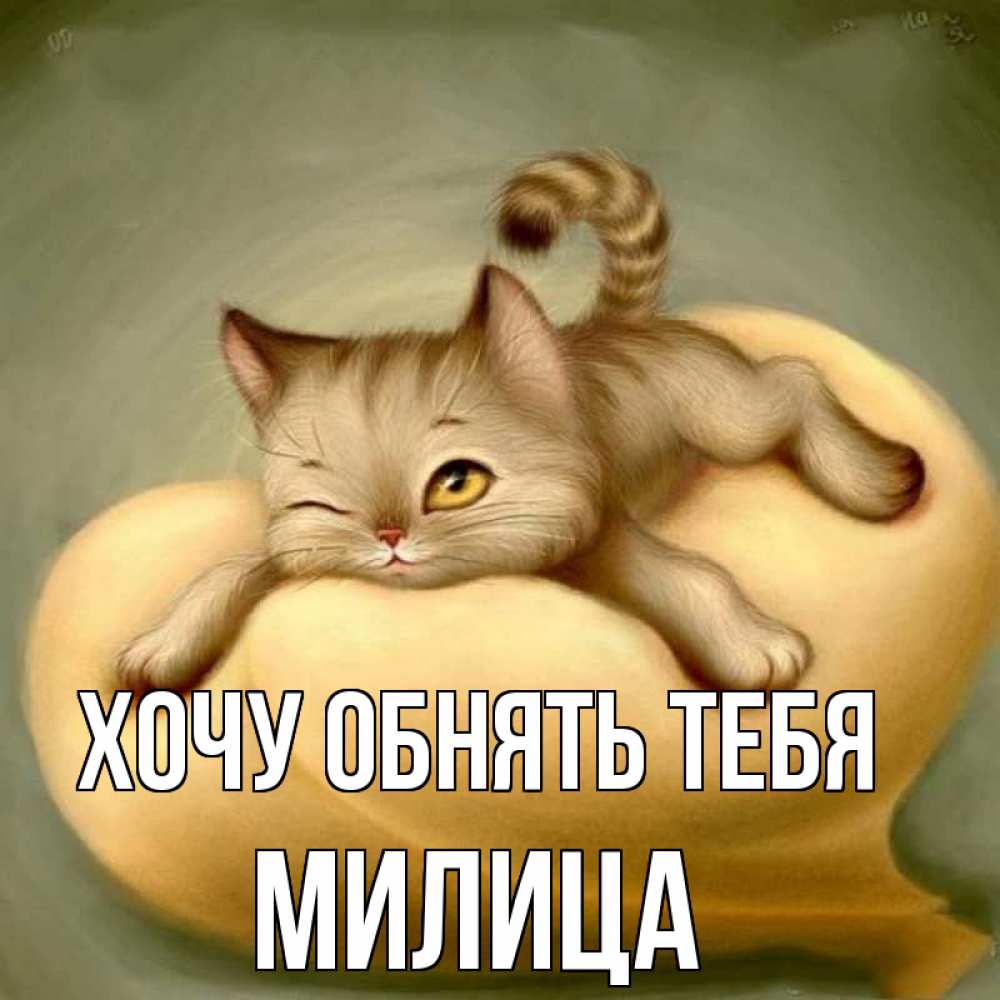 Открытка на каждый день с именем, Милица Хочу обнять тебя кошечка Прикольная открытка с пожеланием онлайн скачать бесплатно 