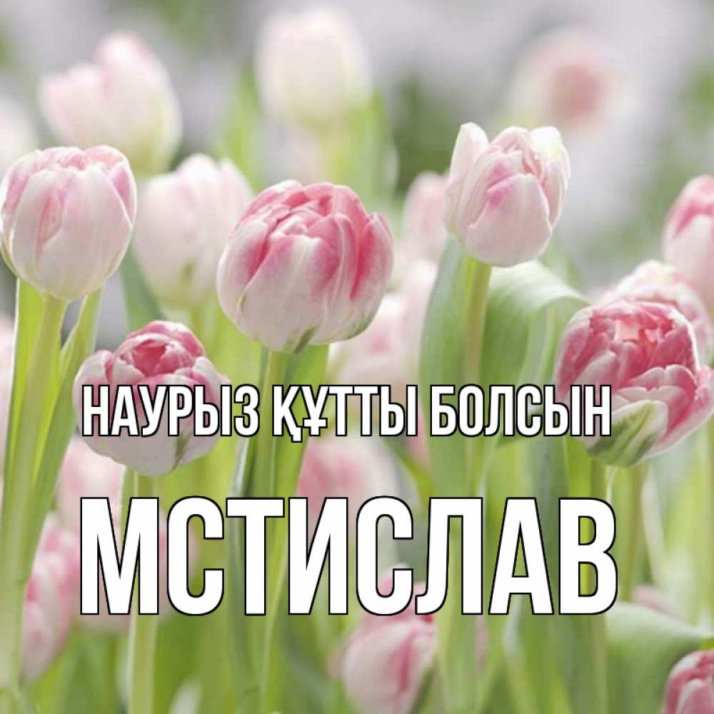 Открытка на каждый день с именем, Мстислав Наурыз құтты болсын цветы Прикольная открытка с пожеланием онлайн скачать бесплатно 