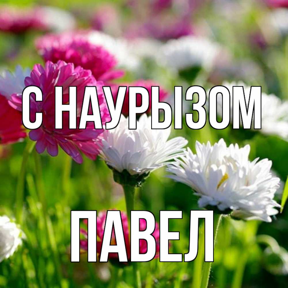 Открытка на каждый день с именем, Павел С наурызом праздник весны наурыз красота Прикольная открытка с пожеланием онлайн скачать бесплатно 