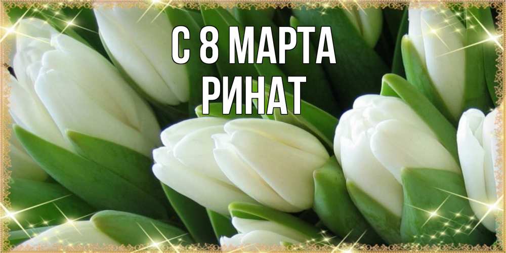 Открытка на каждый день с именем, Ринат С 8 МАРТА поздравляем с 8 марта Прикольная открытка с пожеланием онлайн скачать бесплатно 