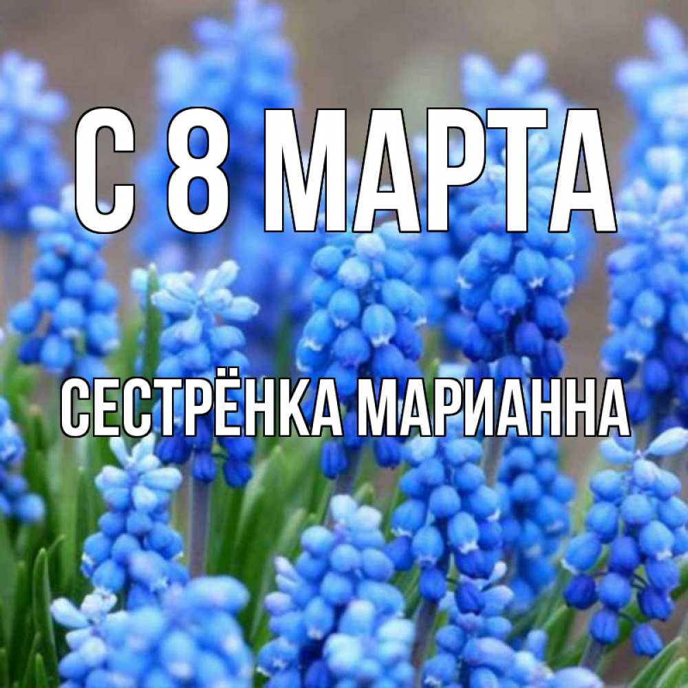 Открытка на каждый день с именем, Сестрёнка-Марианна С 8 марта Поздравительная открытка для женщин с цветами на праздничную дату Прикольная открытка с пожеланием онлайн скачать бесплатно 