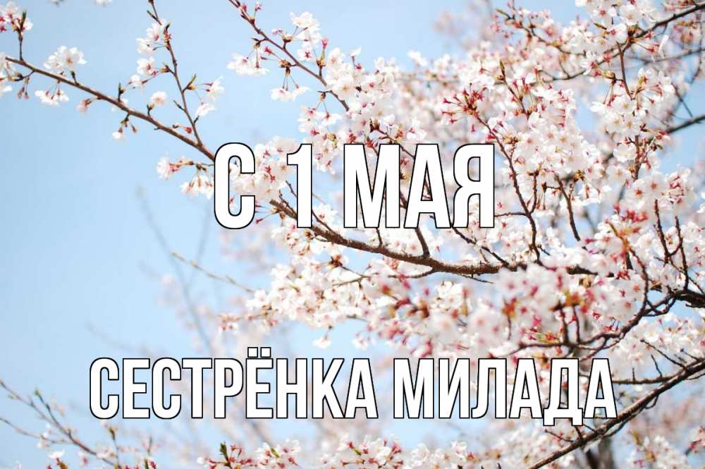 Открытка на каждый день с именем, Сестрёнка-Милада С 1 мая С 1 мая Прикольная открытка с пожеланием онлайн скачать бесплатно 