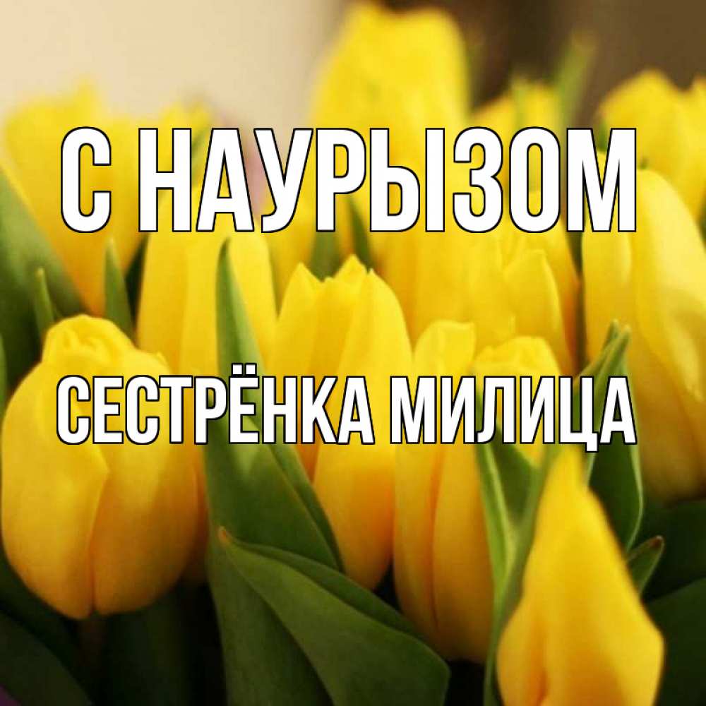 Открытка на каждый день с именем, Сестрёнка-Милица С наурызом цветы Прикольная открытка с пожеланием онлайн скачать бесплатно 