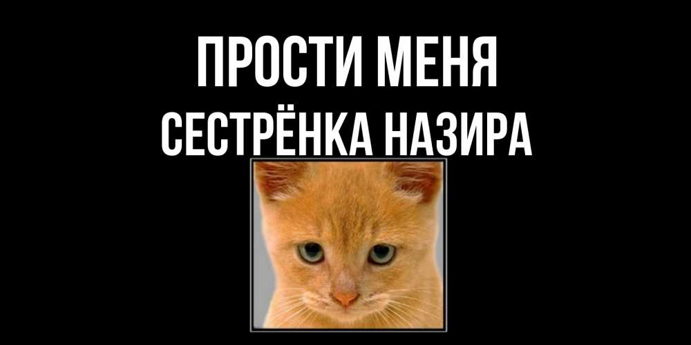 Открытка на каждый день с именем, Сестрёнка-Назира Прости меня рыжий грустный кот просит прощения Прикольная открытка с пожеланием онлайн скачать бесплатно 