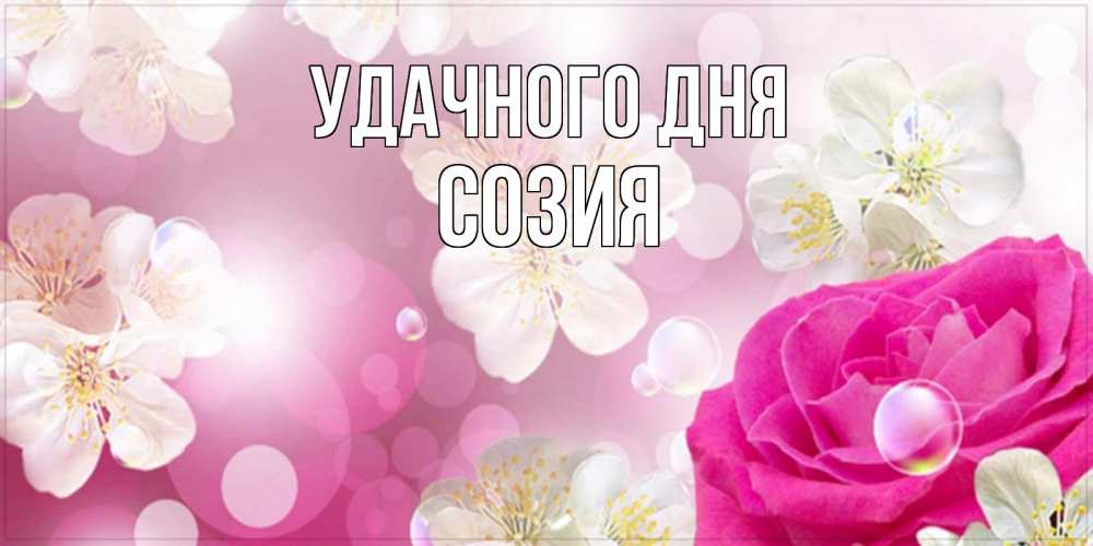 Открытка на каждый день с именем, Созия Удачного дня красивые цветы Прикольная открытка с пожеланием онлайн скачать бесплатно 