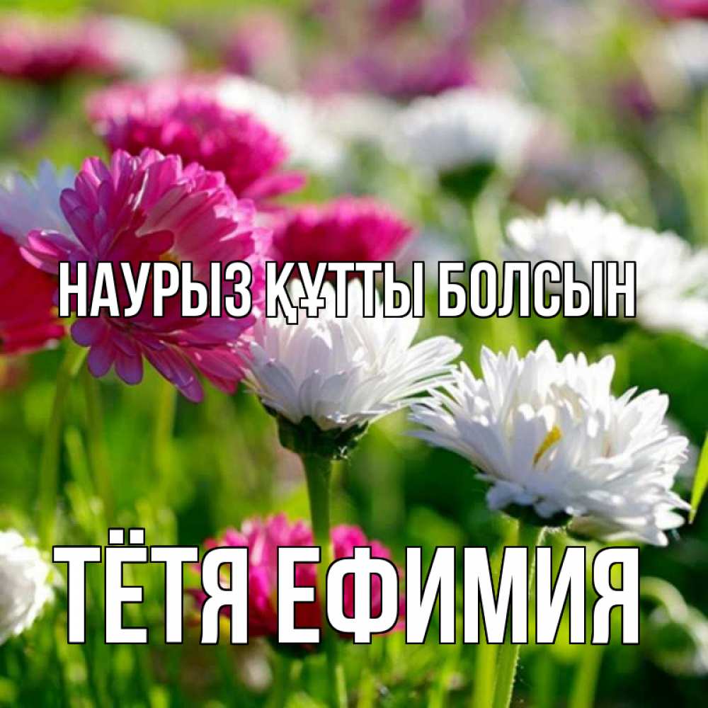 Открытка на каждый день с именем, Тётя-Ефимия Наурыз құтты болсын наурыз Прикольная открытка с пожеланием онлайн скачать бесплатно 
