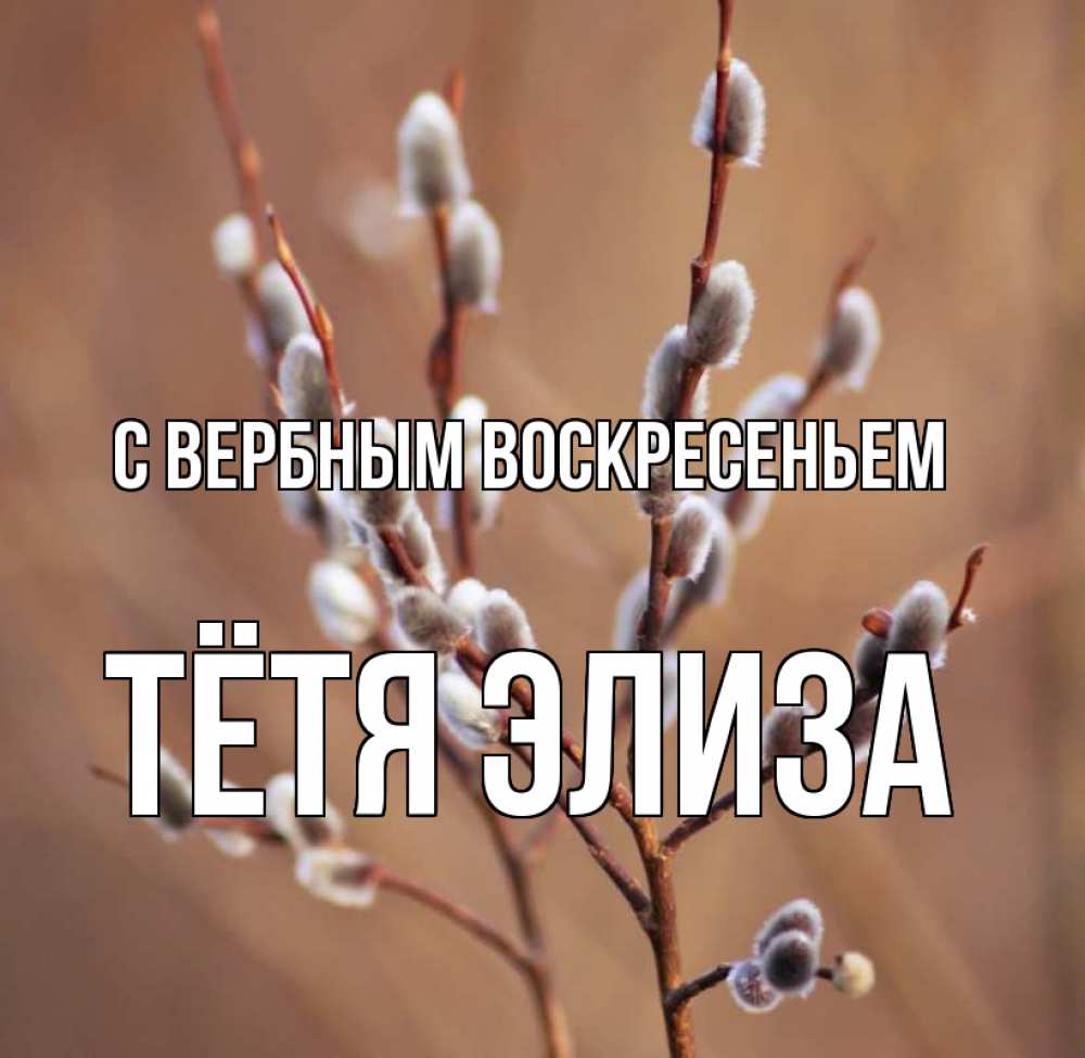 Открытка на каждый день с именем, Тётя-Элиза С вербным воскресеньем верба Прикольная открытка с пожеланием онлайн скачать бесплатно 