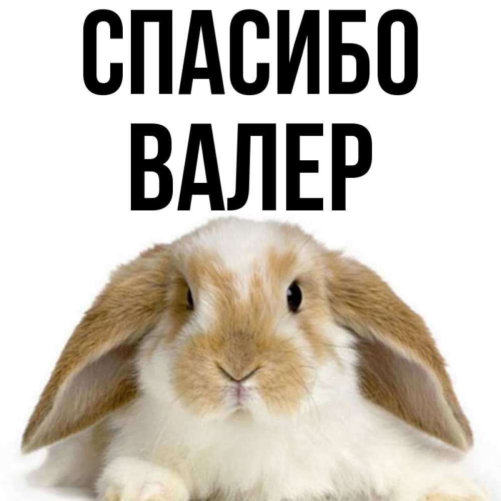Картинка с именем валера