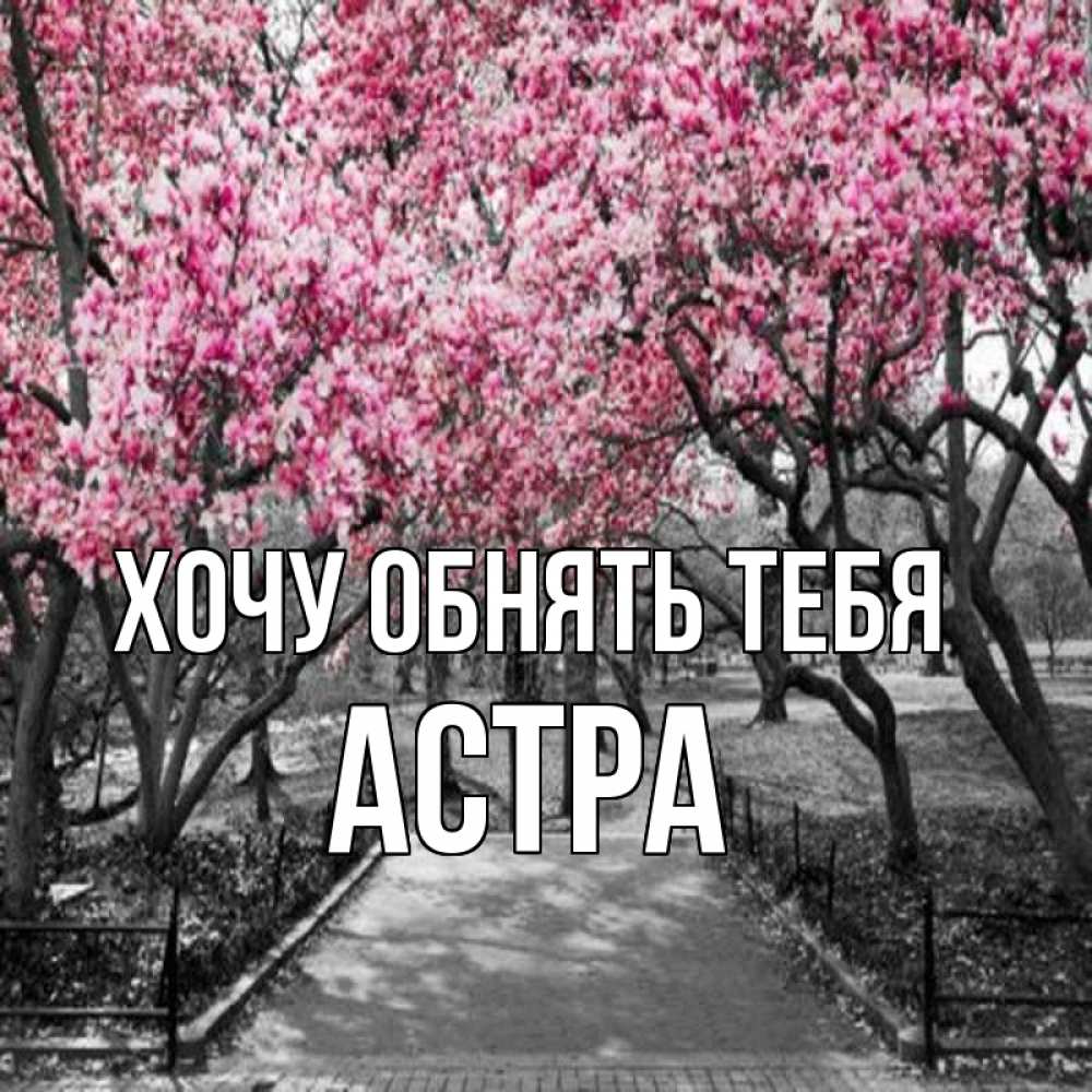 Открытка на каждый день с именем, Астра Хочу обнять тебя обработанное фото Прикольная открытка с пожеланием онлайн скачать бесплатно 