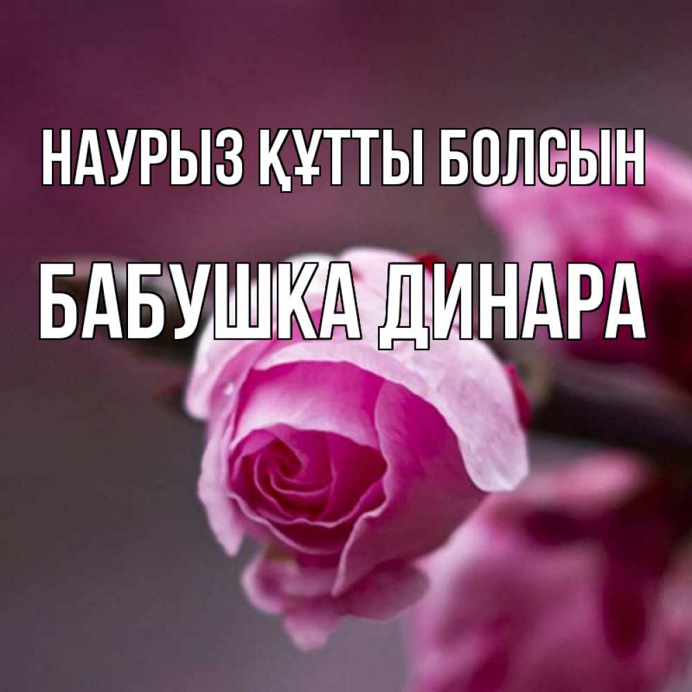 Открытка на каждый день с именем, Бабушка-Динара Наурыз құтты болсын весна Прикольная открытка с пожеланием онлайн скачать бесплатно 