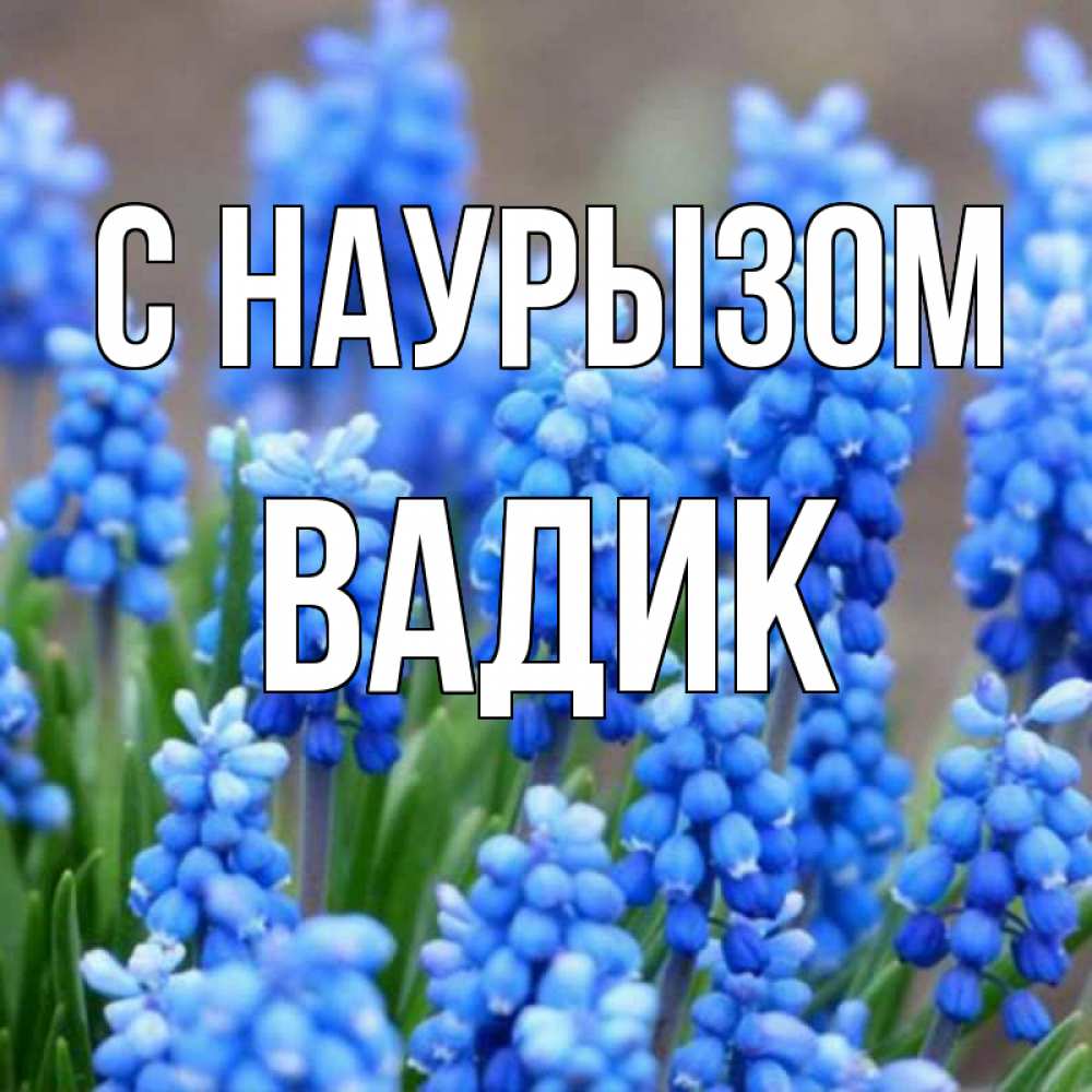 Открытка на каждый день с именем, Вадик С наурызом Поздравительная открытка для женщин с цветами на праздничную дату Прикольная открытка с пожеланием онлайн скачать бесплатно 