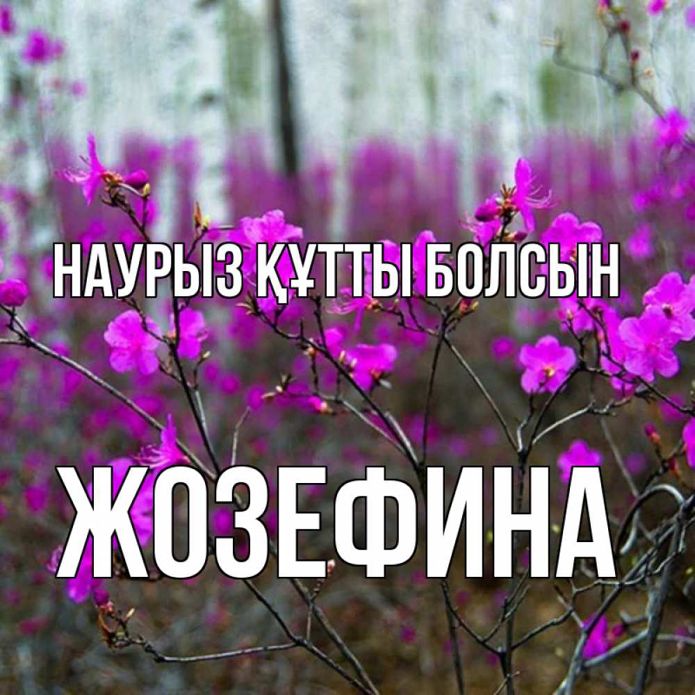 Открытка на каждый день с именем, Жозефина Наурыз құтты болсын дикие цветы Прикольная открытка с пожеланием онлайн скачать бесплатно 