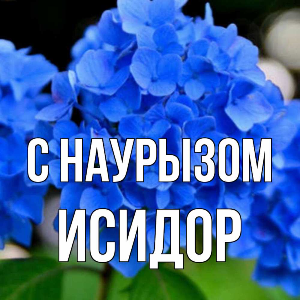 Открытка на каждый день с именем, Исидор С наурызом синие цветы Прикольная открытка с пожеланием онлайн скачать бесплатно 