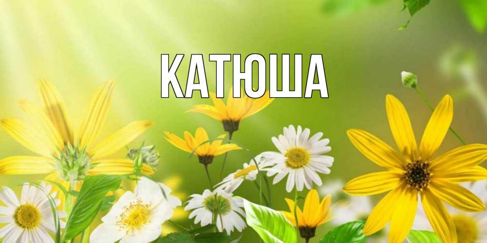 Открытка на каждый день с именем, Катюша Главная цветы Прикольная открытка с пожеланием онлайн скачать бесплатно 