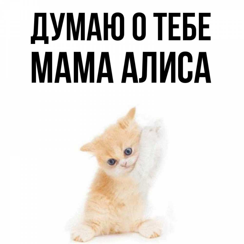 Открытка на каждый день с именем, Мама-Алиса Думаю о тебе зверушки и милота Прикольная открытка с пожеланием онлайн скачать бесплатно 