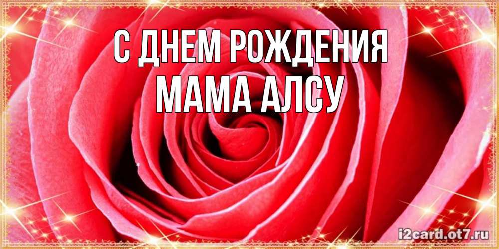 Открытка на каждый день с именем, Мама-Алсу С днем рождения розовая роза очень крупный бутон Прикольная открытка с пожеланием онлайн скачать бесплатно 