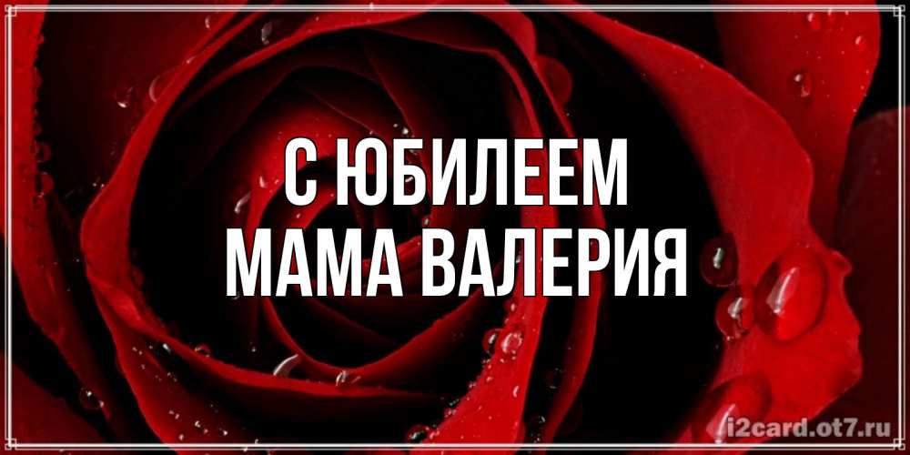 Открытка на каждый день с именем, Мама-Валерия С юбилеем крупная бордовая роза Прикольная открытка с пожеланием онлайн скачать бесплатно 