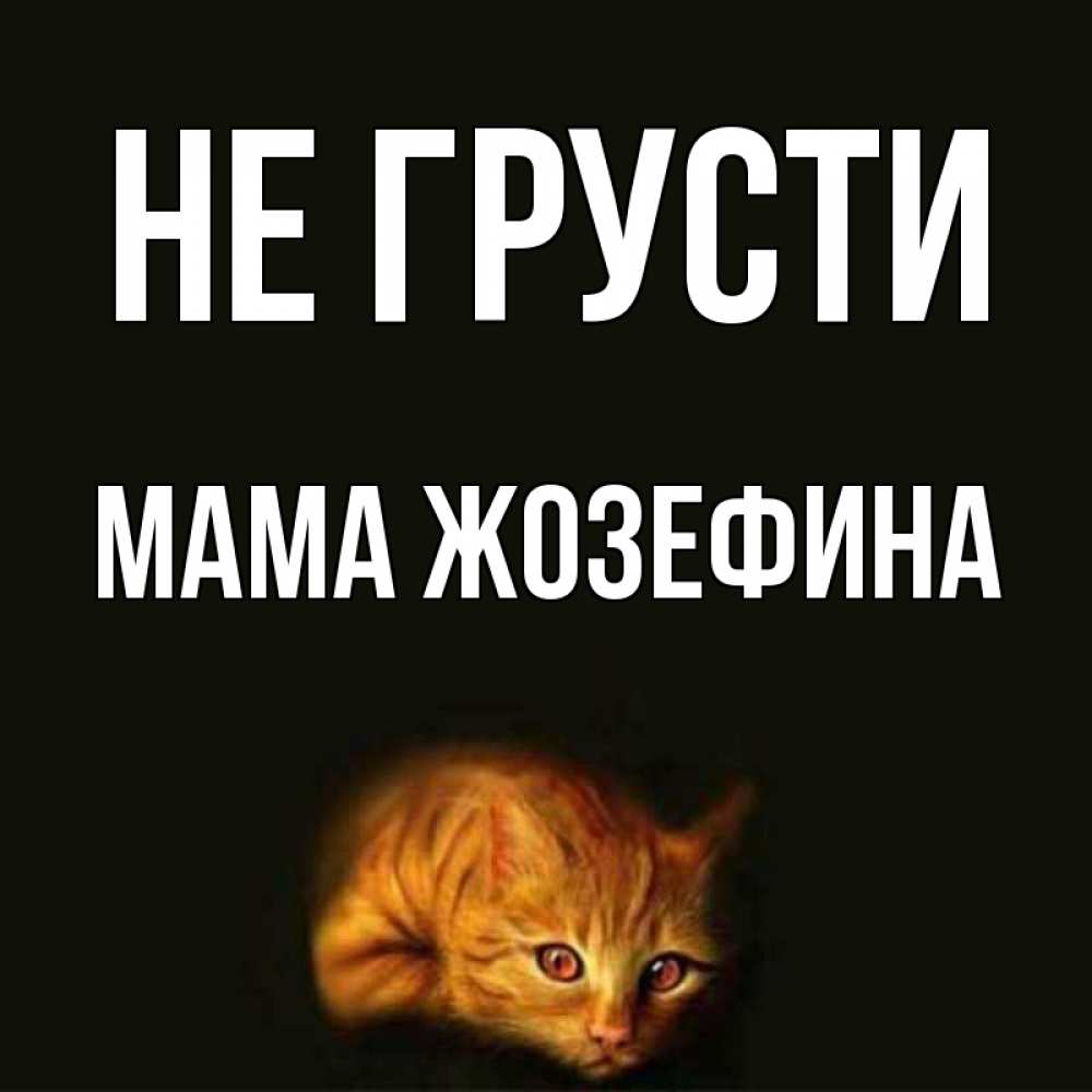 Открытка на каждый день с именем, Мама-Жозефина Не грусти лежащий кот в темноте Прикольная открытка с пожеланием онлайн скачать бесплатно 
