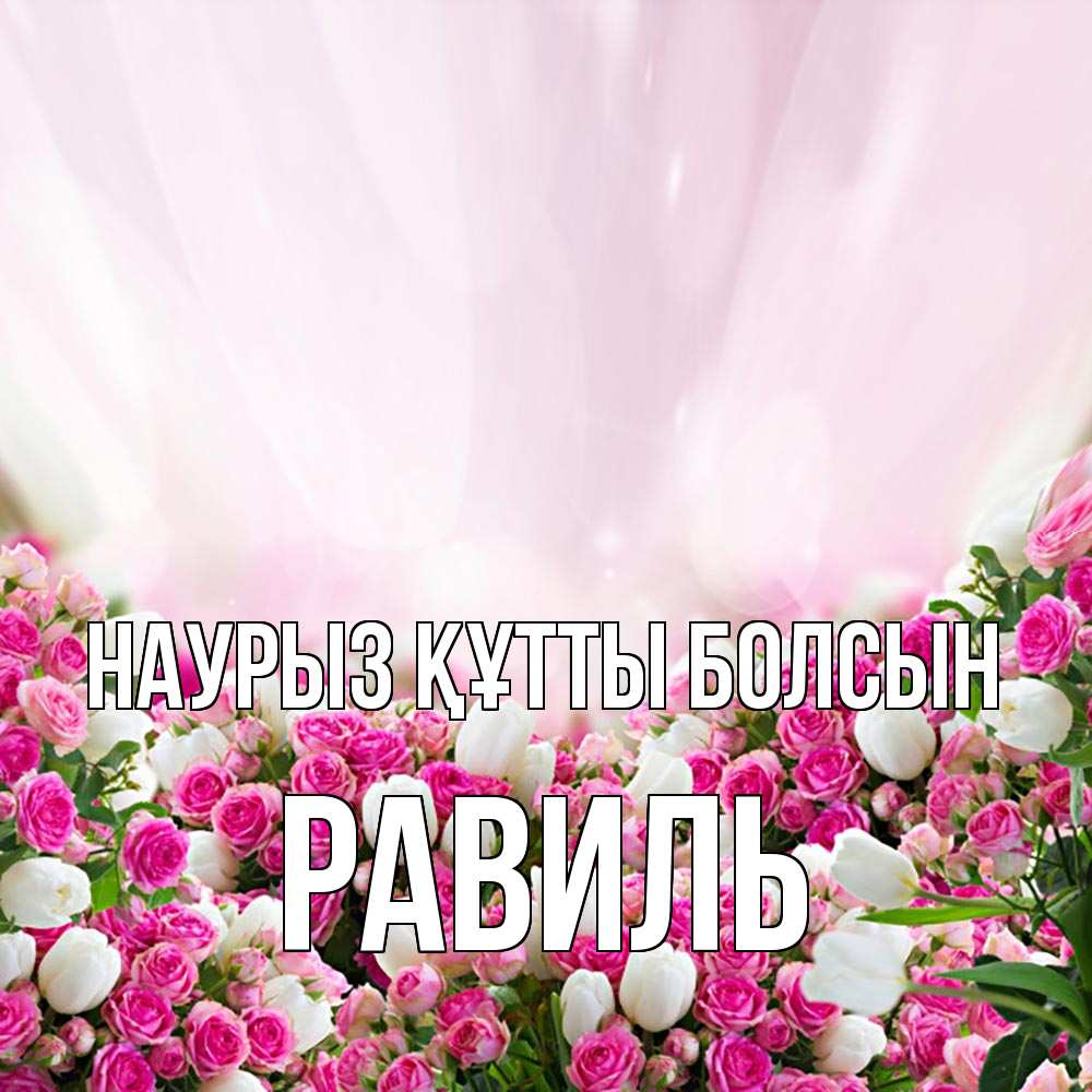 Открытка на каждый день с именем, Равиль Наурыз құтты болсын под снегом Прикольная открытка с пожеланием онлайн скачать бесплатно 