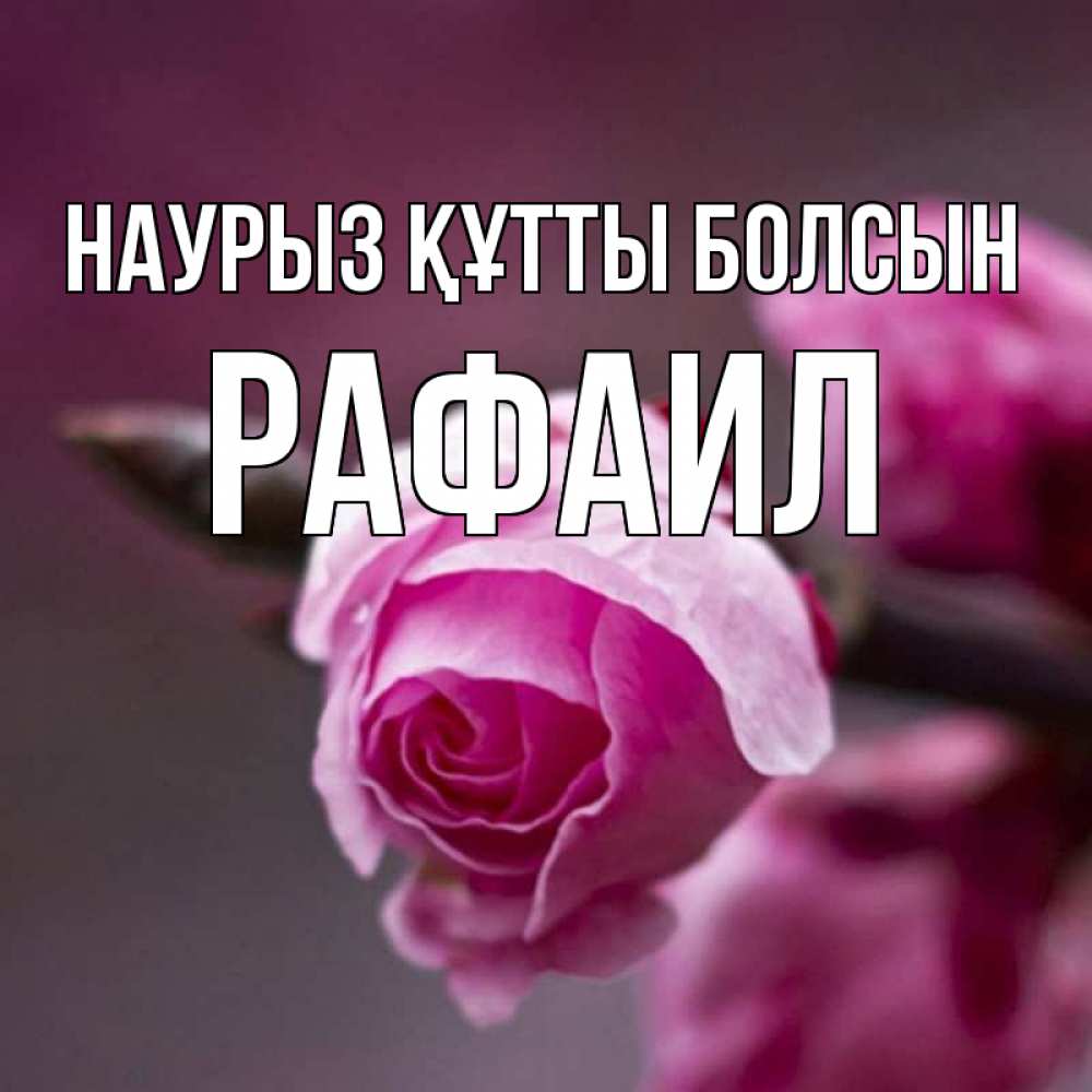 Открытка на каждый день с именем, Рафаил Наурыз құтты болсын весна Прикольная открытка с пожеланием онлайн скачать бесплатно 