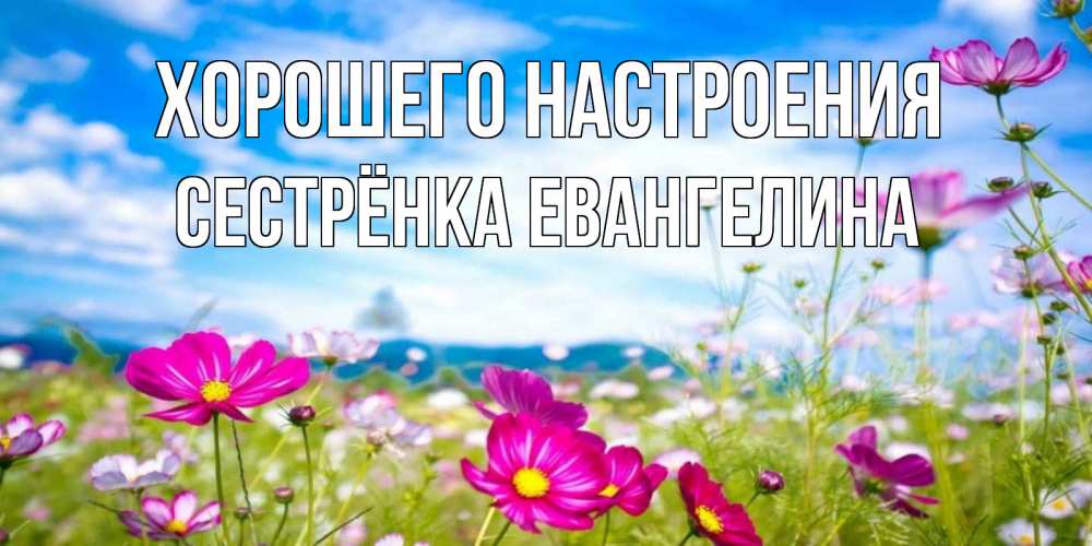 Открытка на каждый день с именем, Сестрёнка-Евангелина Хорошего настроения поле цветов Прикольная открытка с пожеланием онлайн скачать бесплатно 