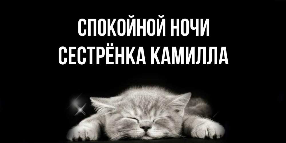 Открытка на каждый день с именем, Сестрёнка-Камилла Спокойной ночи спящий котик Прикольная открытка с пожеланием онлайн скачать бесплатно 