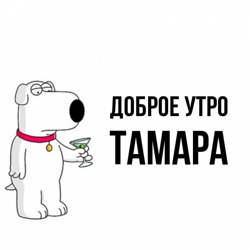 Открытка на каждый день с именем, Тамара Доброе утро герои мультфильмов белый пес Прикольная открытка с пожеланием онлайн скачать бесплатно 