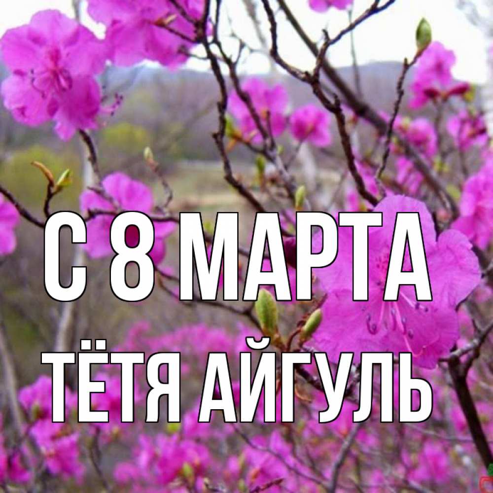 Открытка на каждый день с именем, Тётя-Айгуль С 8 МАРТА международный женский день Прикольная открытка с пожеланием онлайн скачать бесплатно 