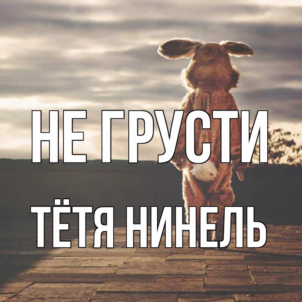 Открытка на каждый день с именем, Тётя-Нинель Не грусти со спины Прикольная открытка с пожеланием онлайн скачать бесплатно 
