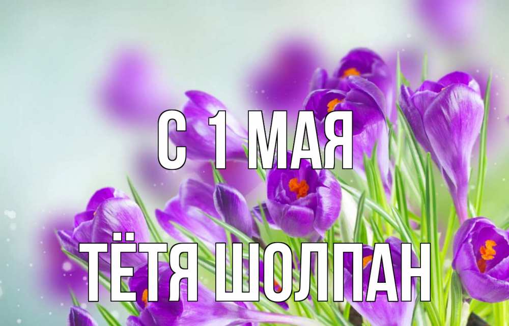 Открытка на каждый день с именем, Тётя-Шолпан С 1 мая 1 мая Прикольная открытка с пожеланием онлайн скачать бесплатно 