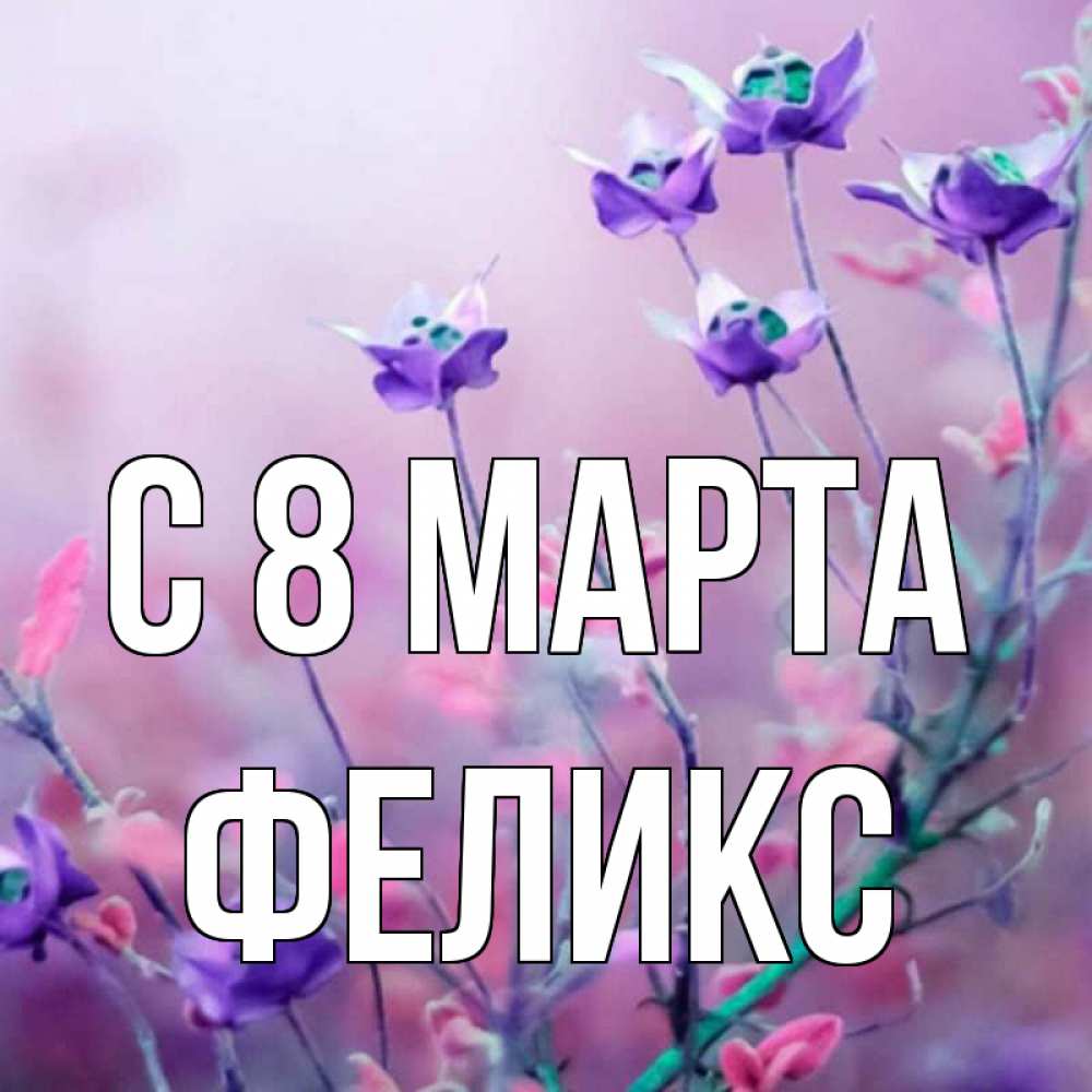 Открытка на каждый день с именем, Феликс С 8 МАРТА международный женский день 2 Прикольная открытка с пожеланием онлайн скачать бесплатно 