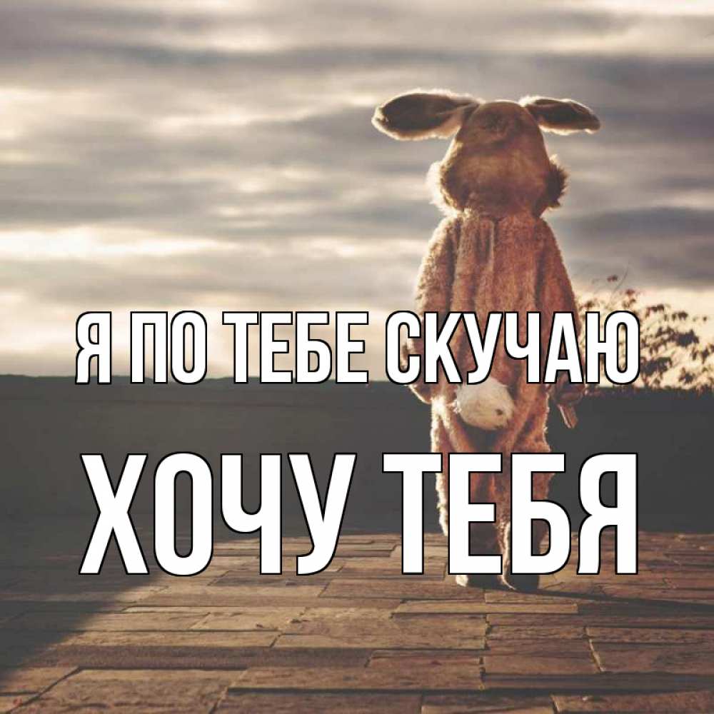 Открытка на каждый день с именем, Хочу-тебя Я по тебе скучаю даже в костюме зайца Прикольная открытка с пожеланием онлайн скачать бесплатно 