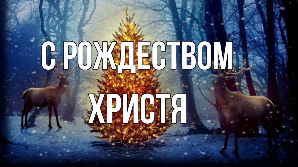 Открытка на каждый день с именем, Христя С рождеством олени, новогодняя елка Прикольная открытка с пожеланием онлайн скачать бесплатно 