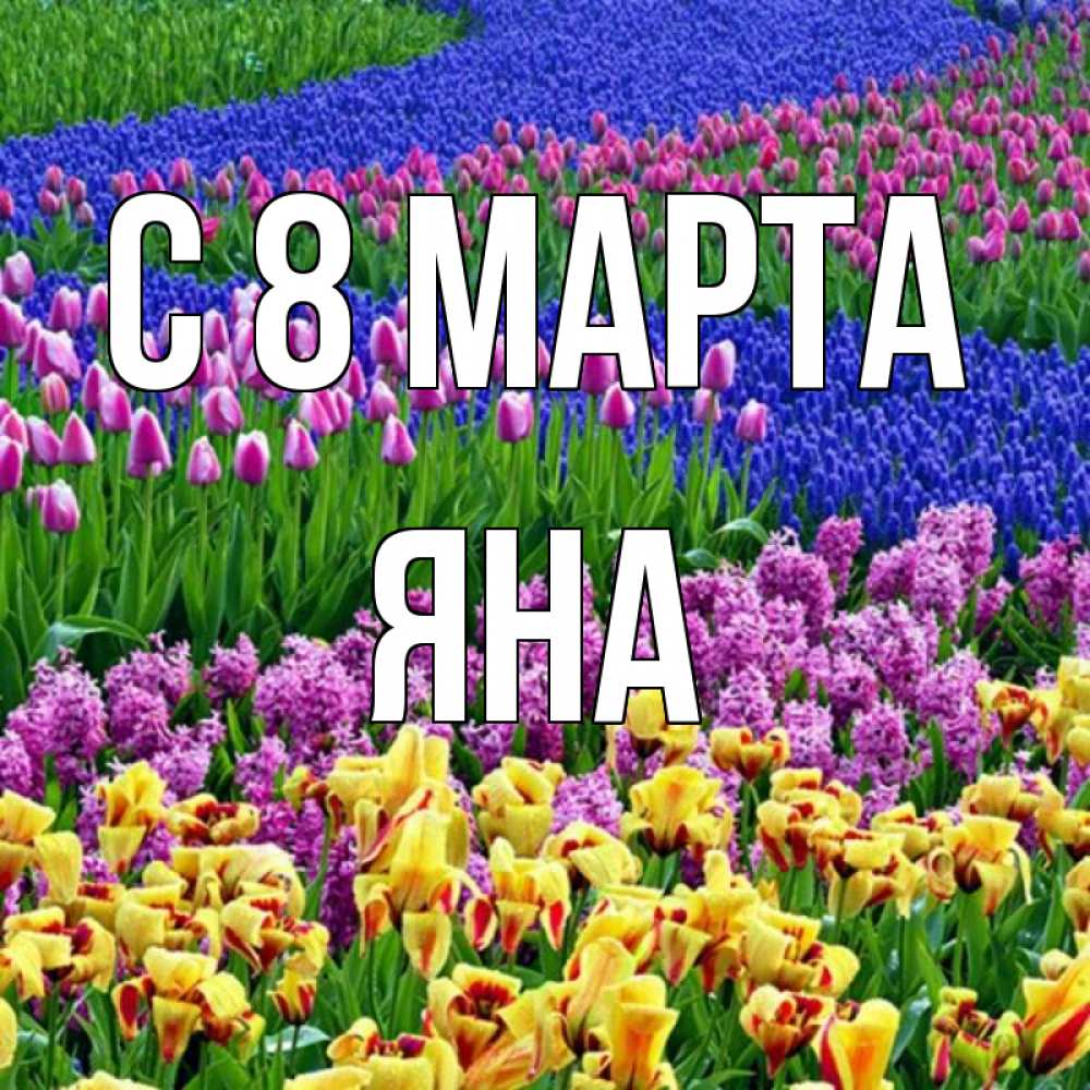 Открытка на каждый день с именем, Яна С 8 МАРТА цветы Прикольная открытка с пожеланием онлайн скачать бесплатно 