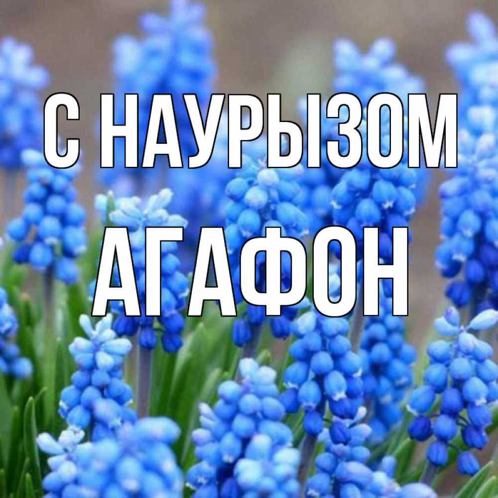 Открытка на каждый день с именем, Агафон С наурызом Поздравительная открытка для женщин с цветами на праздничную дату Прикольная открытка с пожеланием онлайн скачать бесплатно 
