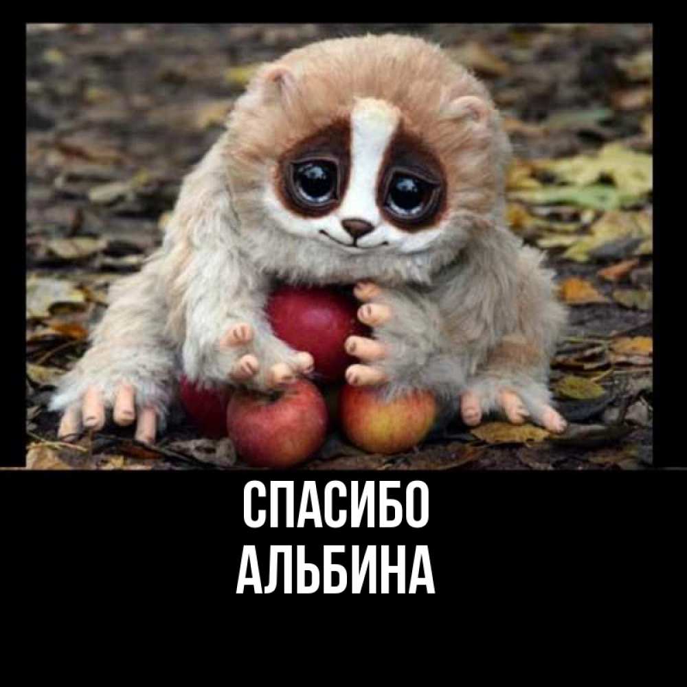 Открытка на каждый день с именем, Альбина Спасибо прикольное животное Прикольная открытка с пожеланием онлайн скачать бесплатно 