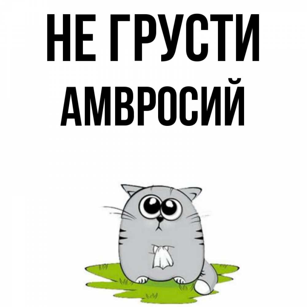 Открытка на каждый день с именем, Амвросий Не грусти грустный котяра Прикольная открытка с пожеланием онлайн скачать бесплатно 