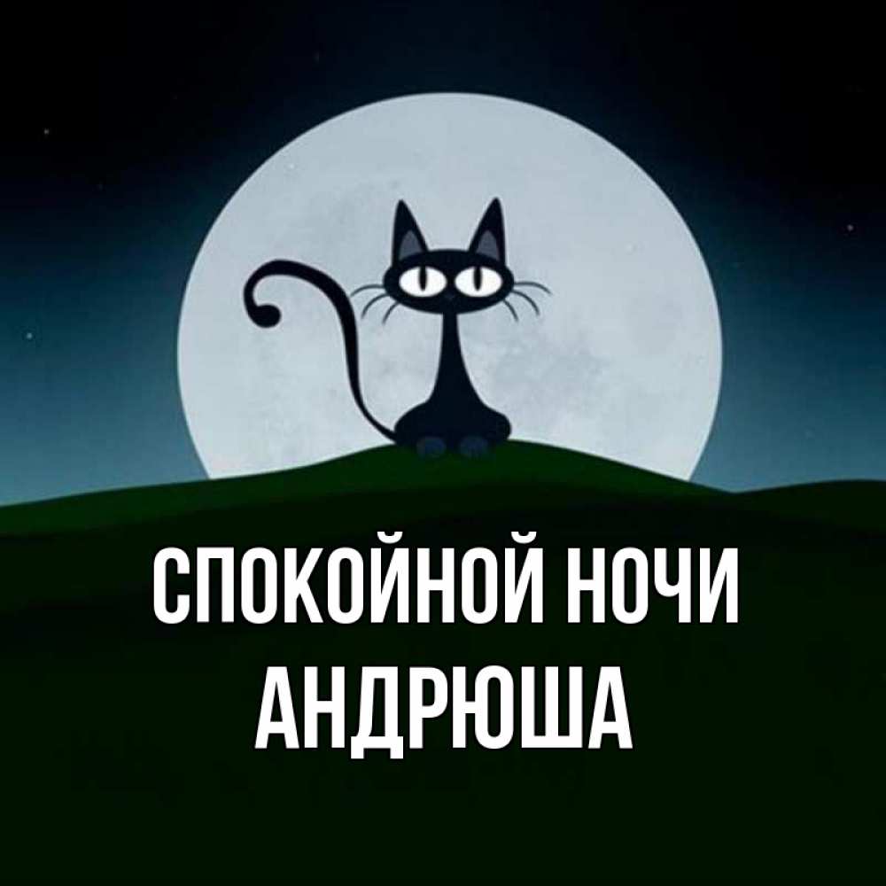 Открытка на каждый день с именем, Андрюша Спокойной ночи хорошо выспаться ночью и без кошмаров Прикольная открытка с пожеланием онлайн скачать бесплатно 