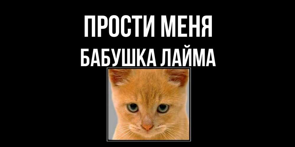 Открытка на каждый день с именем, Бабушка-Лайма Прости меня рыжий грустный кот просит прощения Прикольная открытка с пожеланием онлайн скачать бесплатно 