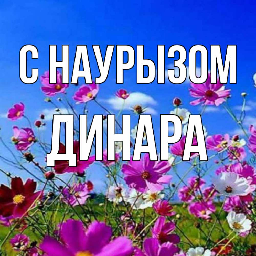 Открытка на каждый день с именем, Динара С наурызом цветы Прикольная открытка с пожеланием онлайн скачать бесплатно 