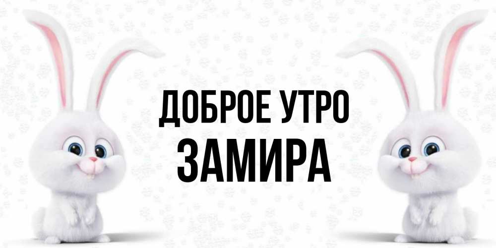 Открытка на каждый день с именем, Замира Доброе утро кролики с длинными ушками Прикольная открытка с пожеланием онлайн скачать бесплатно 