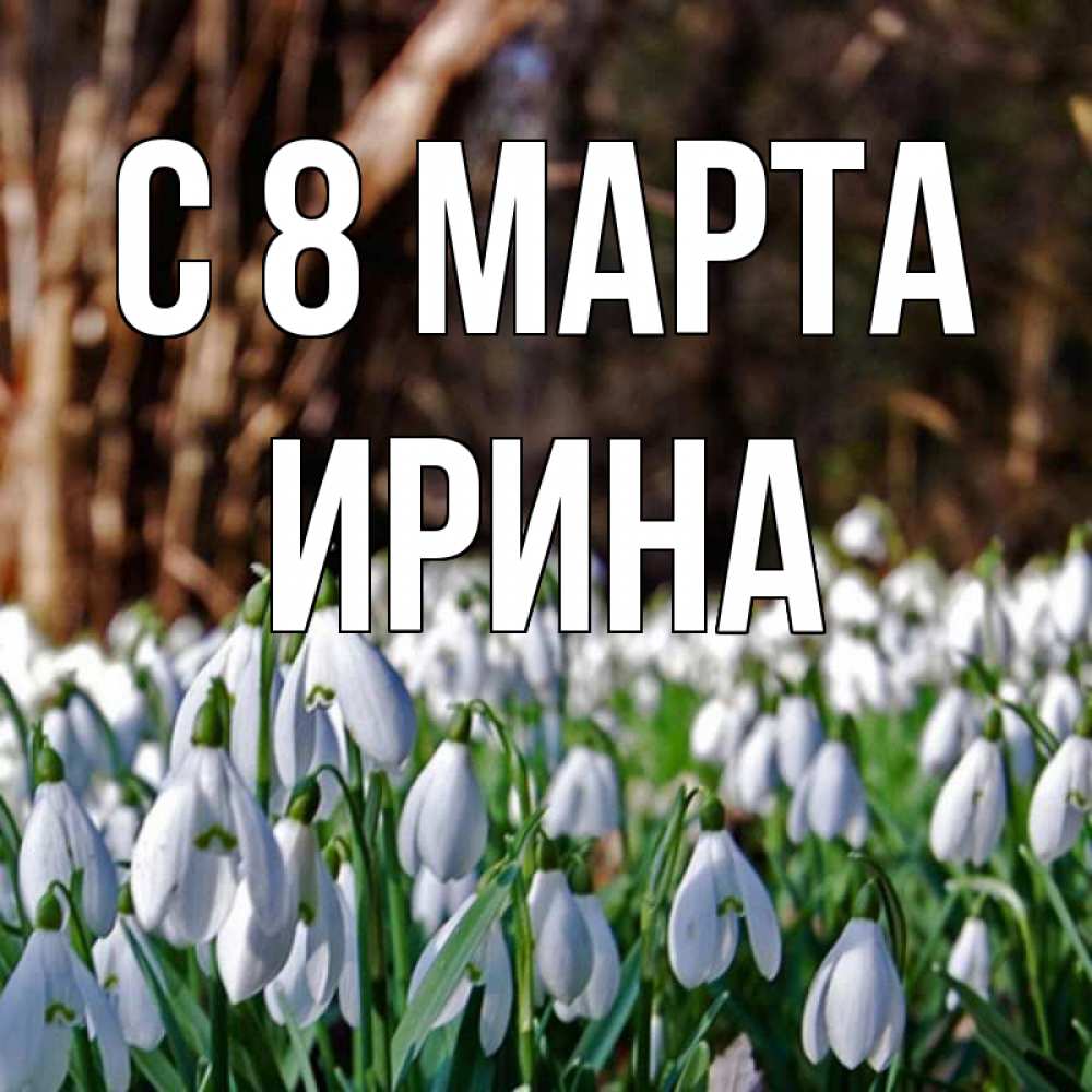 Открытка на каждый день с именем, Ирина С 8 марта с подснежниками 1 Прикольная открытка с пожеланием онлайн скачать бесплатно 
