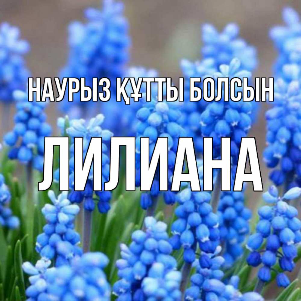 Открытка на каждый день с именем, Лилиана Наурыз құтты болсын Поздравительная открытка для женщин с цветами на праздничную дату Прикольная открытка с пожеланием онлайн скачать бесплатно 